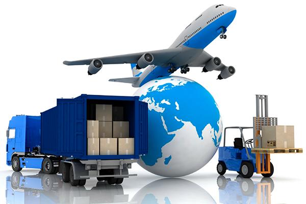 Professional logistics team at work